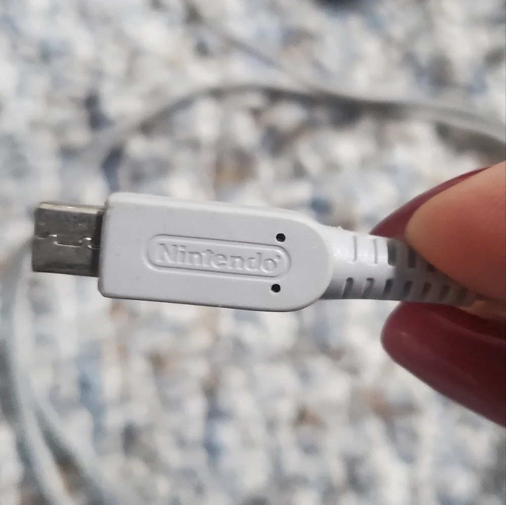 COPY - Nintendo Charger